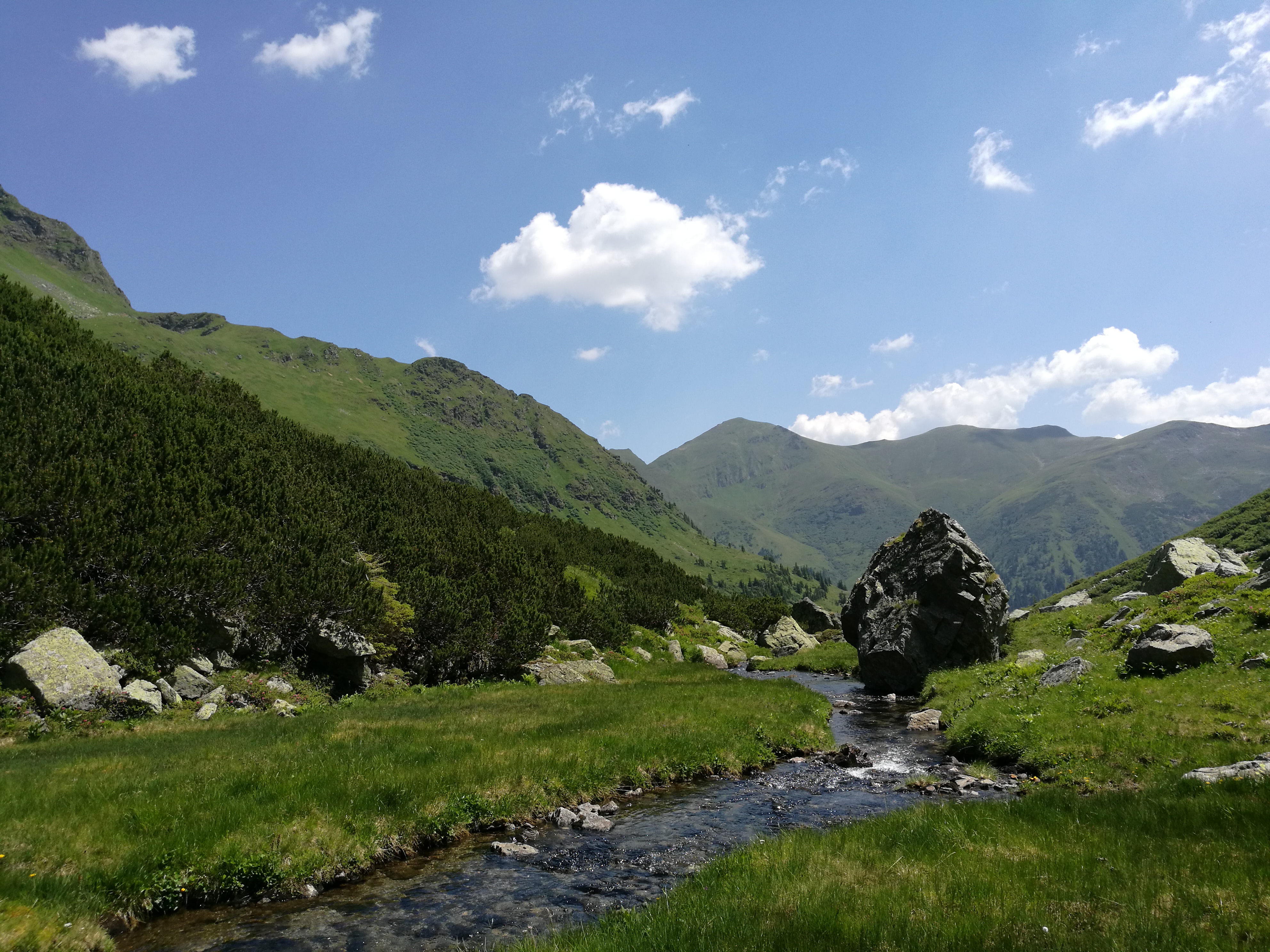 Grüne Landschaften und Berge sind nur 10 Minuten vom Schloss Rothenfels erreichbar. 